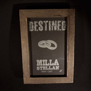 Picture Frame – Destined